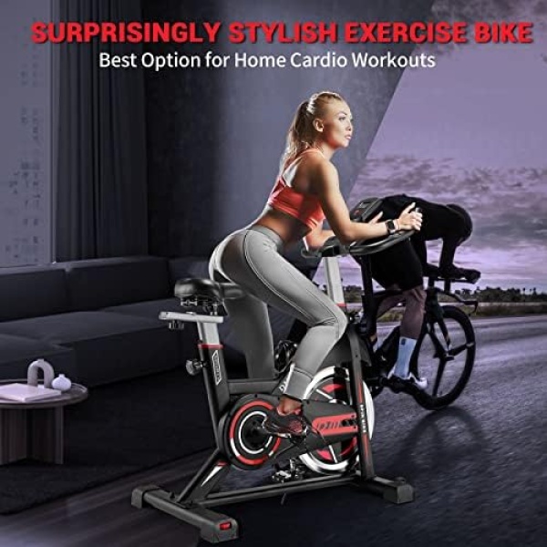 DMASUN Exercise Bike, Indoor Cycling Bike Stationary, Cycle Bike with - Image 6